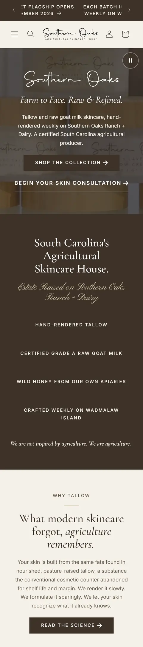 Southern Oaks on a phone, full page